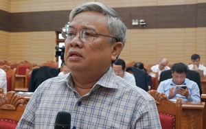 Bò thả rông lông nhông trên đường ở Khu Kinh tế Nhơn Hội, Chủ tịch Bình Định nói 'kỷ luật lãnh đạo'- Ảnh 7.