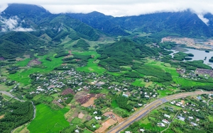 Đà Nẵng: Nuôi con “ngủ ngày cày đêm”, chàng trai 9X không lo đầu ra, chăm rất nhàn mà thu lãi cao - Ảnh 11.