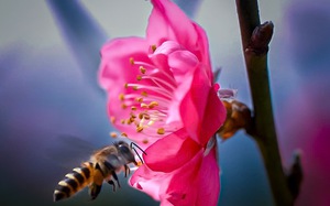 Rau sạch nhiều tiêu thụ khó khăn, giá xuống thấp chưa từng có nông dân kêu trời ở huyện Cần Giuộc (Long An) - Ảnh 6.