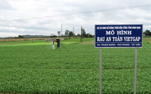 Rau sạch nhiều tiêu thụ khó khăn, giá xuống thấp chưa từng có nông dân kêu trời ở huyện Cần Giuộc (Long An) - Ảnh 5.