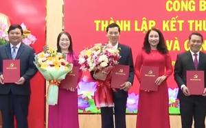 Lãnh đạo sở, ngành Quảng Ngãi xin nghỉ hưu trước tuổi: Chia sẻ của người trong cuộc- Ảnh 5.