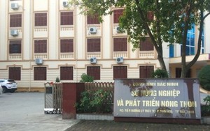 Hội Lim Xuân Ất Tỵ năm 2025: Nhiều hoạt động đặc sắc, không còn tình trạng “chặt chém” giá vé gửi xe?- Ảnh 5.