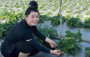 Trồng lúa giảm phát thải ở Trà Vinh, nông dân khỏe hơn, thu nhập tốt hơn, nhà nào trồng là trúng - Ảnh 6.