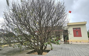 Việt Nam có thêm di tích cấp quốc gia, đó là pháo đài do Pháp xây dựng từ năm 1940, cách Hà Nội hơn 150km - Ảnh 3.