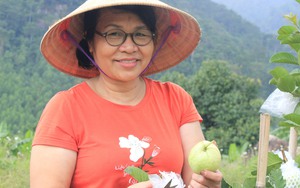Hội Nông dân An Giang giúp HTX trồng lúa chất lượng cao có thu nhập tốt  - Ảnh 5.