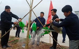 Hội Nông dân Hải Phòng giảm 36 cơ sở Hội sau thực hiện sáp nhập - Ảnh 7.