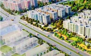 Công an Hải Phòng xử phạt 9 công ty kinh doanh dịch vụ bảo vệ - Ảnh 2.