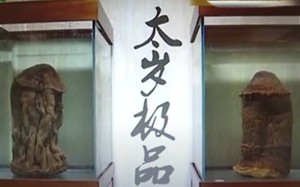 Du khách đội gió đội rét, xoa tiền vào chuông, khánh ở chùa Đồng Yên Tử- Ảnh 14.
