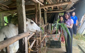 Xã "nghèo rớt mồng tơi” ở TP HCM nay dân đã có thu nhập 100 triệu/người/năm, nông thôn mới hiện đại - Ảnh 10.