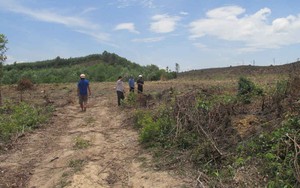 Nhiều Giám đốc Sở, Phó Giám đốc Sở ở Bình Định xin nghỉ hưu trước tuổi- Ảnh 5.