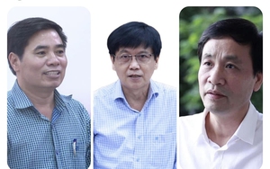 Phó Chủ tịch HĐND tỉnh và 3 lãnh đạo Hội Nông dân Quảng Ngãi xin nghỉ hưu trước tuổi- Ảnh 3.