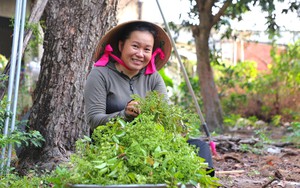 Đến tỉnh này đi lễ hội đầu năm, nhất định phải thử ăn món cá ngạnh nấu vờ chỉ có ở miền sông Lô - Ảnh 10.