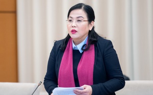 Kỳ họp Quốc hội bất thường thứ 9 sẽ quyết định cơ cấu tổ chức bộ máy, nhân sự- Ảnh 5.