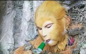 Diện mạo thật của 4 thầy trò Đường Tăng trong Tây Du Ký gây sốc cỡ nào? - Ảnh 3.