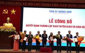 3 Giám đốc Sở và 8 Bí thư Huyện ủy ở Quảng Nam có đơn xin nghỉ hưu trước tuổi- Ảnh 4.