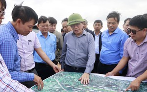 Doanh nghiệp rút khỏi thị trường tăng mạnh: Phép thanh lọc năng lực tự nhiên - Ảnh 6.