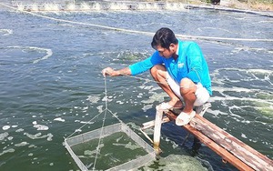 Ở nơi này của Đắk Nông, trang trại 22ha nuôi động vật hoang dã như nuôi gà, vườn đẹp như phim - Ảnh 17.