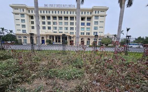 Căn cứ pháp lý vụ tài xế không có giấy phép lái xe phù hợp tông dải phân cách gây tai nạn ở Phú Yên- Ảnh 6.