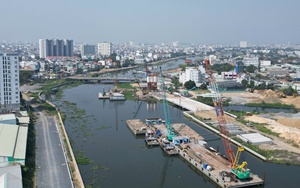Ngắm cánh đồng hoa hướng dương "hiếm có" ngay trung tâm TP.HCM - Ảnh 10.