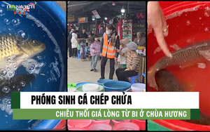 Video: Muôn kiểu xoa tiền, hứng sữa xin lộc tại Chùa Hương- Ảnh 1.