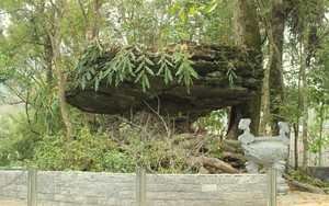 Biến đồi hoang, núi đá ra nơi cảnh đẹp như phim, dân tình đang kéo đến Lèn Chùa ở Quảng Bình - Ảnh 6.