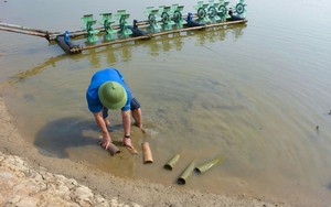 Biến công nghệ thành cửa ngõ, một xã vùng cao Sơn La thu hút hàng nghìn khách du lịch qua nền tảng số - Ảnh 8.