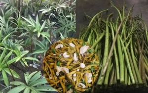 Biến công nghệ thành cửa ngõ, một xã vùng cao Sơn La thu hút hàng nghìn khách du lịch qua nền tảng số - Ảnh 10.
