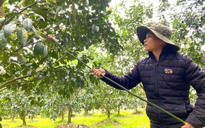 Biến công nghệ thành cửa ngõ, một xã vùng cao Sơn La thu hút hàng nghìn khách du lịch qua nền tảng số - Ảnh 11.