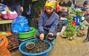 Biến công nghệ thành cửa ngõ, một xã vùng cao Sơn La thu hút hàng nghìn khách du lịch qua nền tảng số - Ảnh 9.