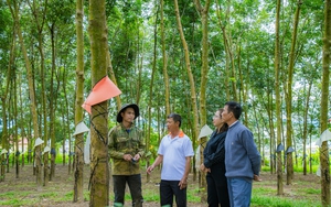 Quyết định 517 của Thủ tướng mở ra cơ hội cho nông dân nâng cao năng lực sản xuất, tăng khả năng cạnh tranh - Ảnh 8.