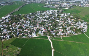 Đà Nẵng: Nuôi con “ngủ ngày cày đêm”, chàng trai 9X không lo đầu ra, chăm rất nhàn mà thu lãi cao - Ảnh 9.