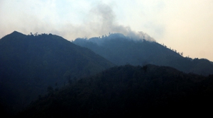 Cây tươi nổ đôm đốp, rừng Quốc gia Hoàng Liên vẫn âm ỉ cháy