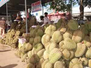 Khách hàng ngoại chuộng trái cây Đồng Nai 
