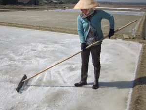 Xã Lý Nhơn (Cần Giờ): Diêm dân chuyển hướng sản xuất muối trải bạt