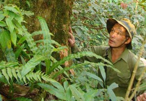 Vô vùng núi này ở Bình Phước nghe chuyện sợ nổi gai ốc, hết hồn-chuyện rắn thành tinh nuốt sơn nữ - Ảnh 4.