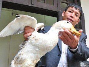 Ông Đoàn Văn Vươn: “Tôi không xin hỗ trợ lòng thương”