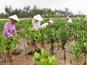 Bến Tre: 152 tỷ đồng đầu tư các mô hình ứng phó biến đổi khí hậu