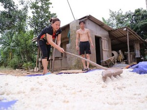 Nhiều tỉnh khó khăn nhưng không xin gạo cứu đói