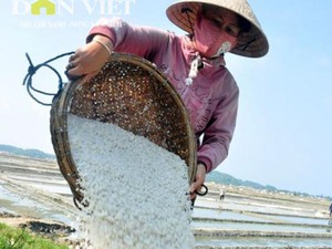 Khát vọng đưa muối sạch Sa Huỳnh vươn xa của nữ cử nhân 9X