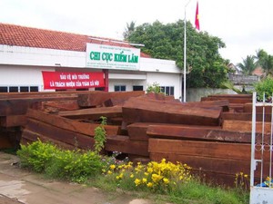 Hàng loạt lãnh đạo kiểm lâm Tiền Giang tiếp tay cho gỗ lậu