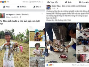 Xẻ thịt mèo đăng Facebook: Tổ chức Động vật châu Á lên tiếng