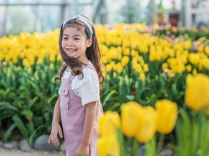 Ra mắt lễ hội tulip lớn nhất Việt Nam tại Vinpearl Nha Trang