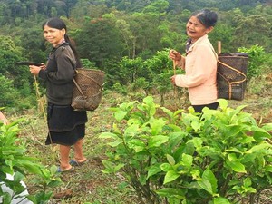 Ngủ đêm, mọi nhà chả phải đóng cửa, hầu như không có trộm cắp, là cảnh thịnh trị thời vua nào? - Ảnh 19.