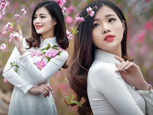 Đào đông lần đầu có mặt tại Hà Nội, giá hàng trăm triệu đồng mỗi gốc- Ảnh 22.