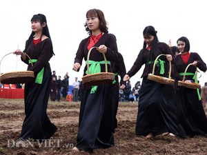 Ngắm thôn nữ xinh đẹp gieo hạt "ngọc trời" tại lễ hội Tịch điền