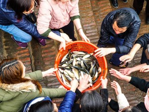Hà Nội: Cả vạn người dự lễ phóng sinh hơn 5 tấn cá dịp đầu năm