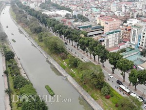 Hà Nội bắt đầu chặt, di chuyển gần 500 cây xanh mở rộng đường Láng