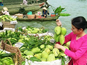 Lên lịch cho chuyến nghỉ Tết Âm lịch gần Sài Gòn