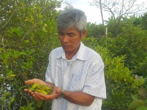 Bị gọi là &quot;hâm dở&quot;, thế mà thành tỷ phú nhờ kiểu làm ăn khác người