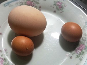 Kon Tum: Bất ngờ gà trống đầu đàn, đã nuôi nhiều năm... đẻ trứng